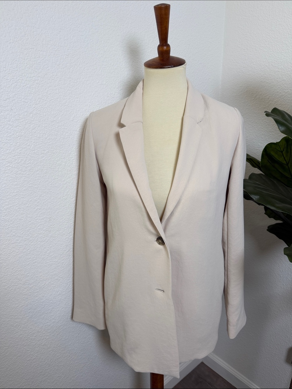 Aritzia Button Blazer